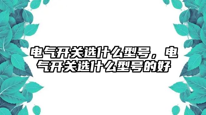 電氣開關選什么型號，電氣開關選什么型號的好