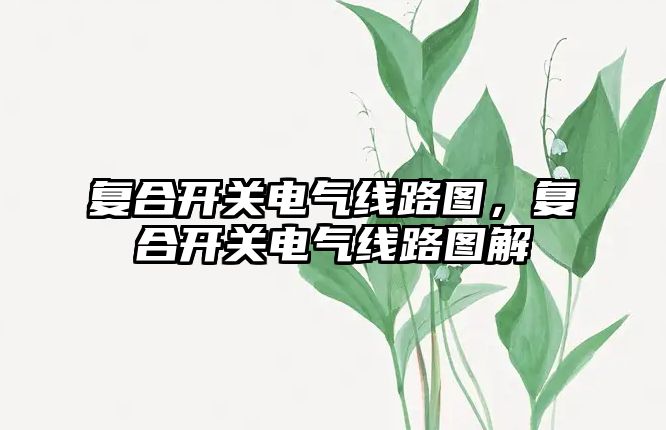 復合開關電氣線路圖，復合開關電氣線路圖解