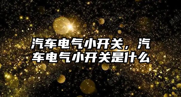 汽車電氣小開關，汽車電氣小開關是什么