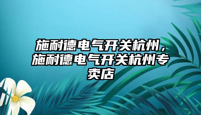 施耐德電氣開關杭州，施耐德電氣開關杭州專賣店