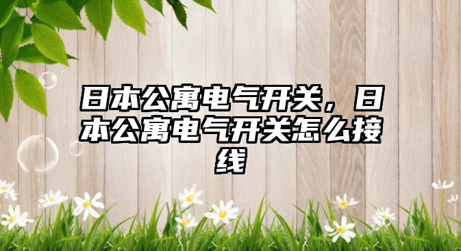 日本公寓電氣開關，日本公寓電氣開關怎么接線